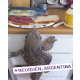 Avatar de persona