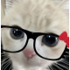 Avatar de persona