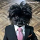 Avatar de persona