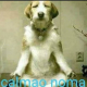Avatar de persona