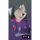Avatar de persona