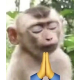 Avatar de persona