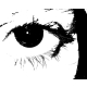 Avatar de persona